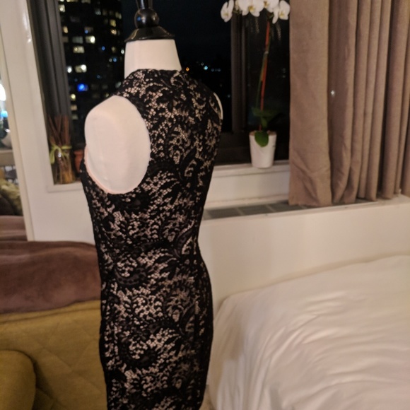 NWT Alexia Admor Lace Mini Dress - Picture 7 of 8